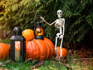 29 Easy Halloween Garden Ideas