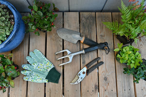 Essential tools every gardener should own