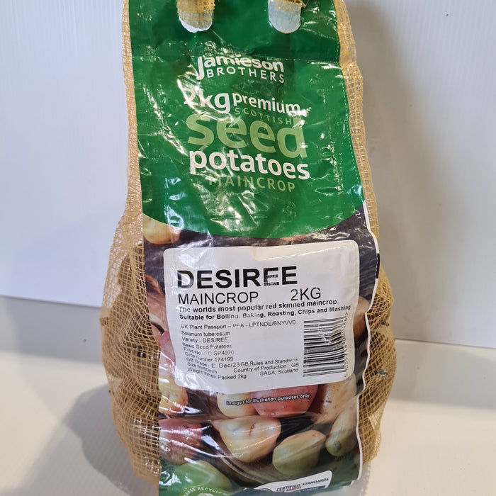 DESIREE (Main Crop) seed potatoes