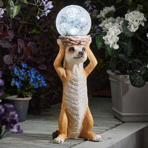 Mystic Solar Meerkat