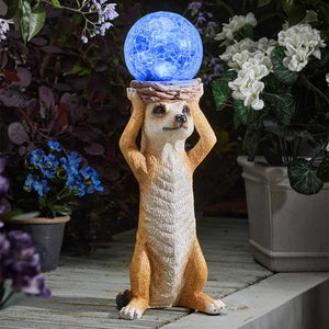 Mystic Solar Meerkat