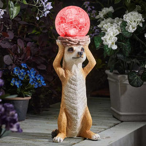 Mystic Solar Meerkat