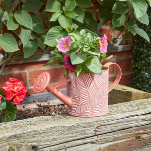 Planter Can - Fern - Terracotta