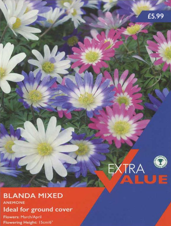 ANEMONE BLANDA MIXED (EXTRA VALUE PACK)