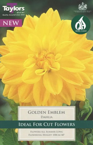 Dahlia Golden Emblem