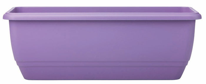 50cm Patio Trough Lavender