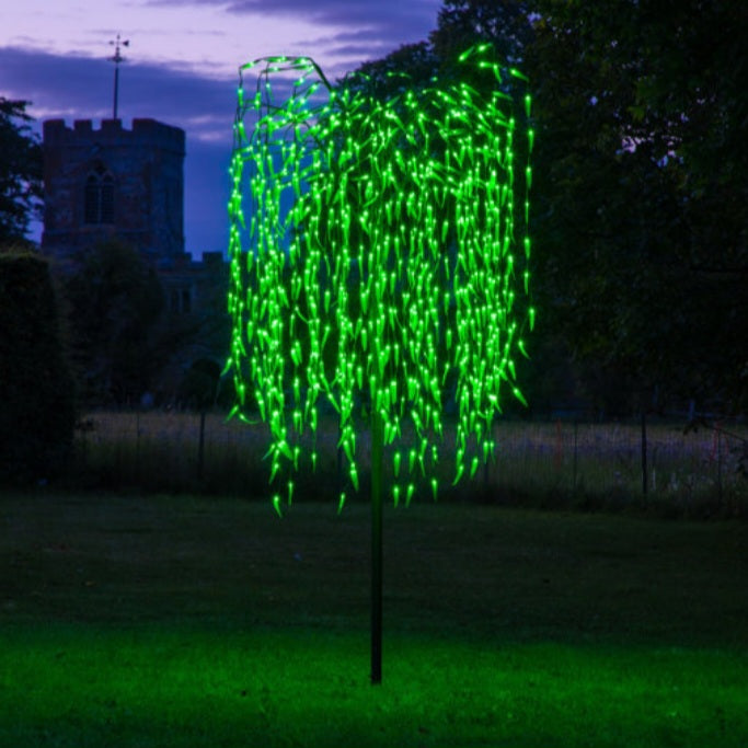 2.4m Green Weeping Willow Tree