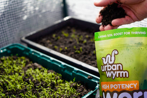 Worm Casts Pouch 2.5L